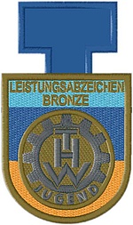 Das Leistungsabzeichen Bronze der THW-Jugend.